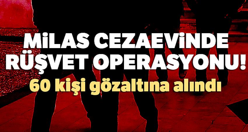 Milas Cezaevinde rüşvet operasyonu! 60 kişi gözaltına alındı