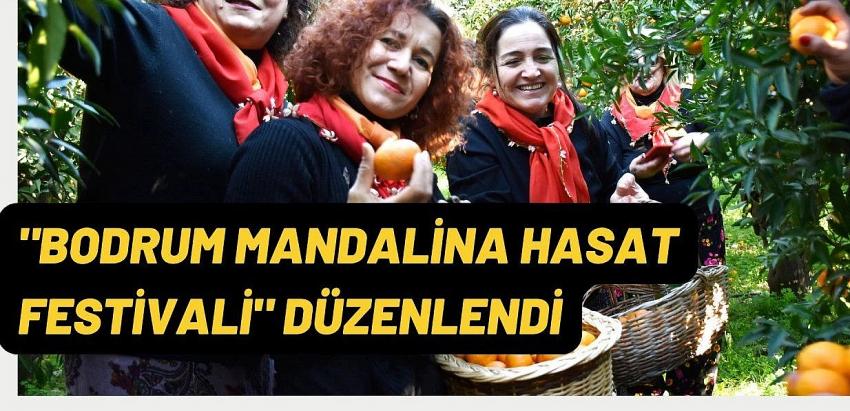 Bodrum Mandalin Festivali heyecanı yaşandı