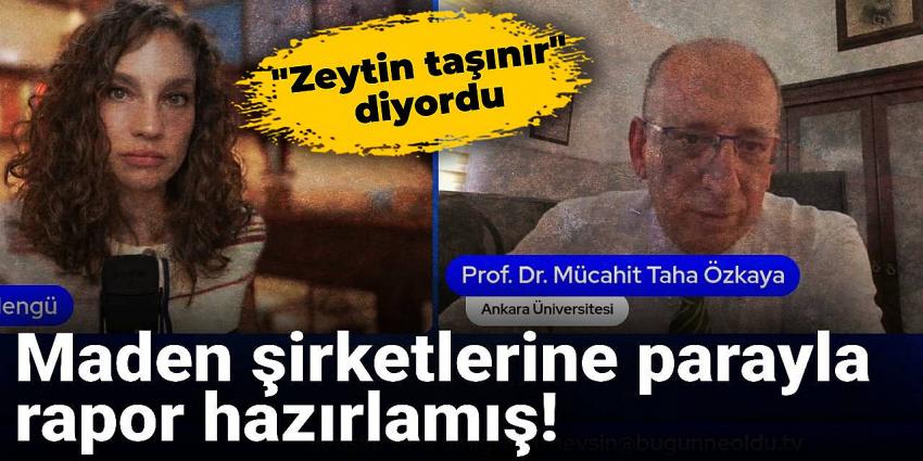 "Zeytin taşınır" diyen profesör maden şirketlerine parayla rapor hazırlamış!