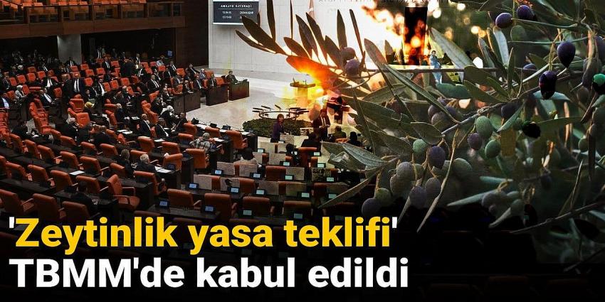'Zeytinlik yasa teklifi' TBMM'de kabul edildi