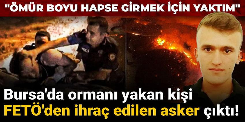 Bursa'da ormanı yakan kişi FETÖ'den ihraç edilen asker çıktı!