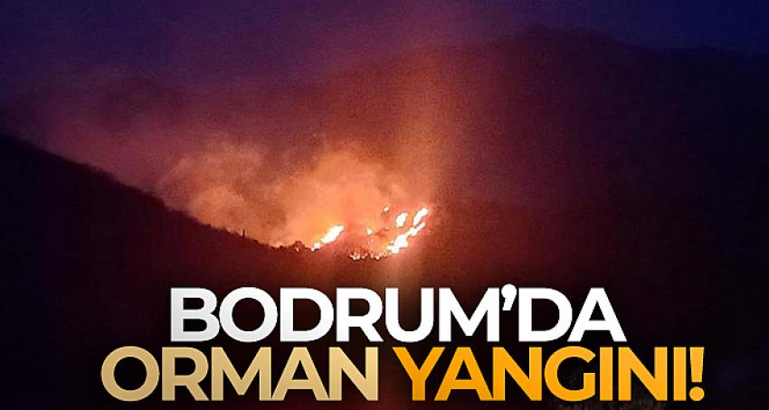 Bodrum'da orman yangını !