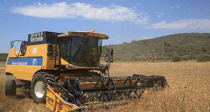 Karaova'da Karakılçık Buğdayı hasadı