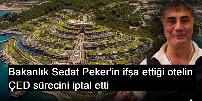 Bakanlık Sedat Peker