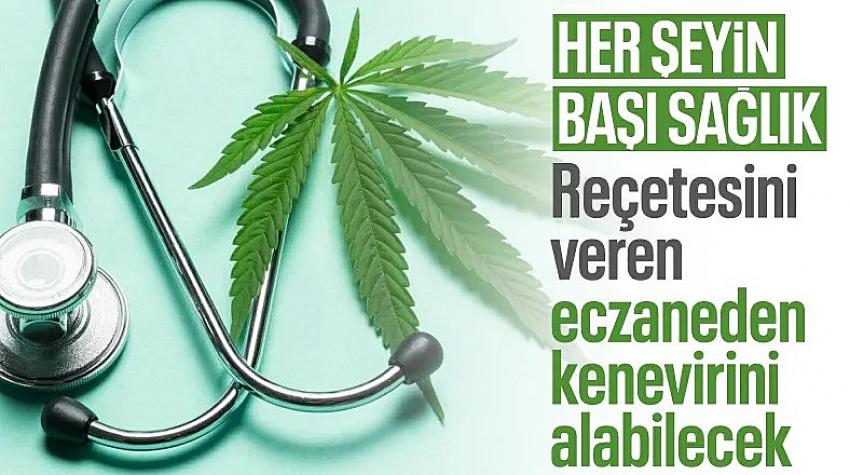 Tıbbi kenevir teklifi yasalaştı: Süreç nasıl işleyecek?