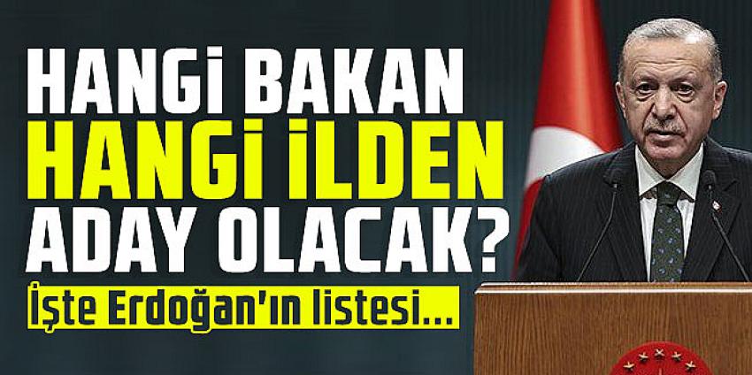 Hangi Bakan hangi ilden aday olacak? İşte Erdoğan'ın listesi...