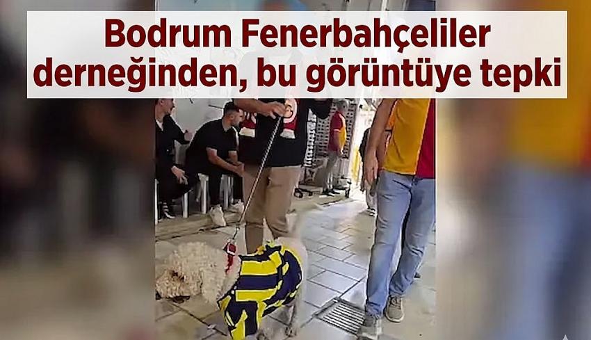 Kategori Haberleri