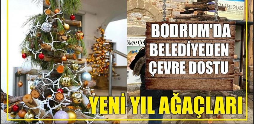 BELEDİYEDEN ÇEVRE DOSTU YENİ YIL AĞAÇLARI