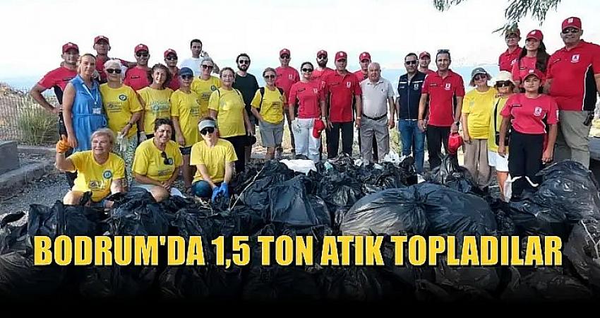 Bodrum'da 1,5 ton atık topladılar