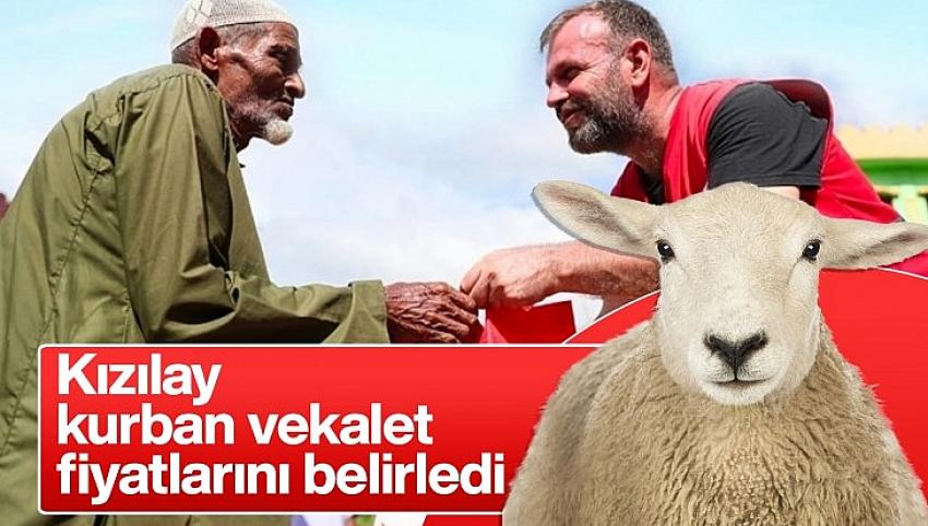 Kızılay kurban vekalet fiyatlarını belirledi