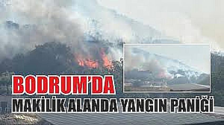 Bodrum’da makilik yangını başladı