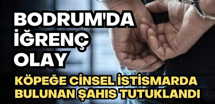 Bodrum’da köpeğe cinsel saldırıda bulunan kişi tutuklandı