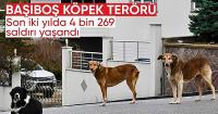 2022’den bu yana 4 bin 269 köpek saldırısı kayıtlara geçti