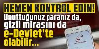 e-Devlet'i kontrol edin: Gizli mirasınız ve birikmiş paranız olabilir