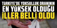 Türkiye'de yoksulluk oranının en yüksek olduğu iller belli oldu