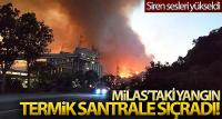 Milas'ta alevler termik santrale sıçradı