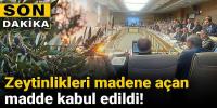 Zeytinlikleri madene açan madde kabul edildi
