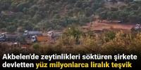 Akbelen'de zeytinlikleri söktüren şirkete devletten yüz milyonlarca liralık teşvik!