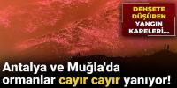 Antalya ve Muğla'da ormanlar cayır cayır yanıyor! 