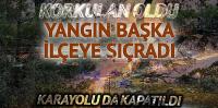 Muğla'da korkutan orman yangını!