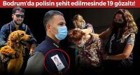 Bodrum’da polisin şehit edilmesinde 19 gözaltı!