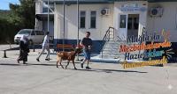 Muğla'da Mezbahalarda Hazırlıklar Tamamlandı
