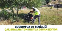 Bodrum’da Ot Temizliği Çalışmaları Tüm Hızıyla Devam Ediyor