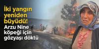 İki yangın yeniden büyüdü! Arzu Nine köpeği için gözyaşı döktü