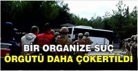 Organize suç örgütüne 