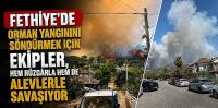 Muğla'nın Fethiye ilçesinde orman yangını