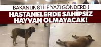 Belediyelere sahipsiz köpek başına 71 bin TL ceza kesilecek