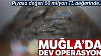 Muğla'da 1,5 ton uyuşturucu ele geçirildi: Piyasa değeri 50 milyon lira