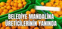 BELEDİYE MANDALİNA ÜRETİCİLERİNİN YANINDA