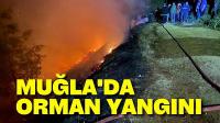 Muğla'da orman yangını