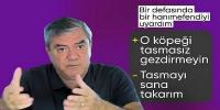 Yılmaz Özdil'in köpek sahibi kadınla diyaloğu