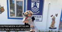 DEPREMDEN KURTULAN EGE’NİN HAYVAN SEVGİSİ