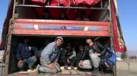 Bodrum’a gelen 80 göçmen yakalandı