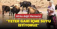 Afrika değil Marmaris... 