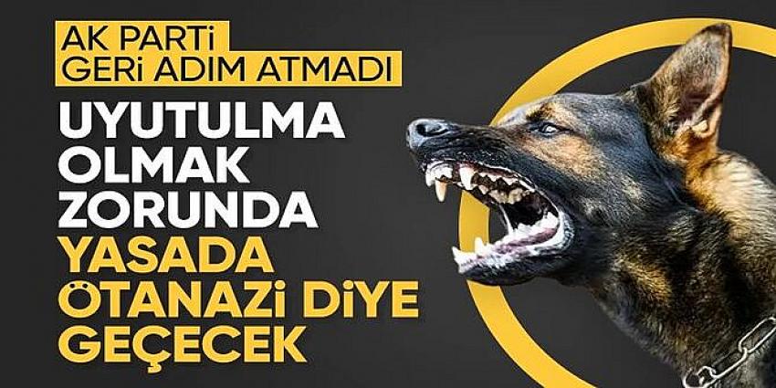 Abdullah Güler'den başıboş sokak köpekleri düzenlemesine ilişkin: Uyutulma olmak zorunda