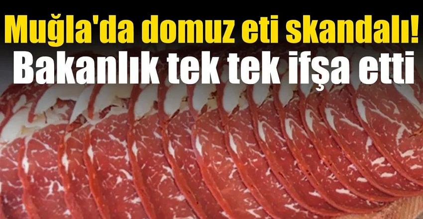 Muğla’da domuz eti skandalı!