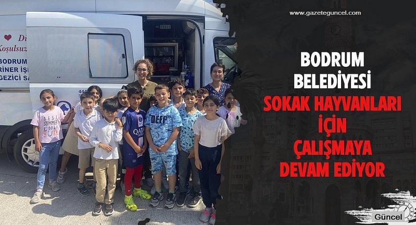 BELEDİYE, SOKAK HAYVANLARI İÇİN ÇALIŞMAYA DEVAM EDİYOR