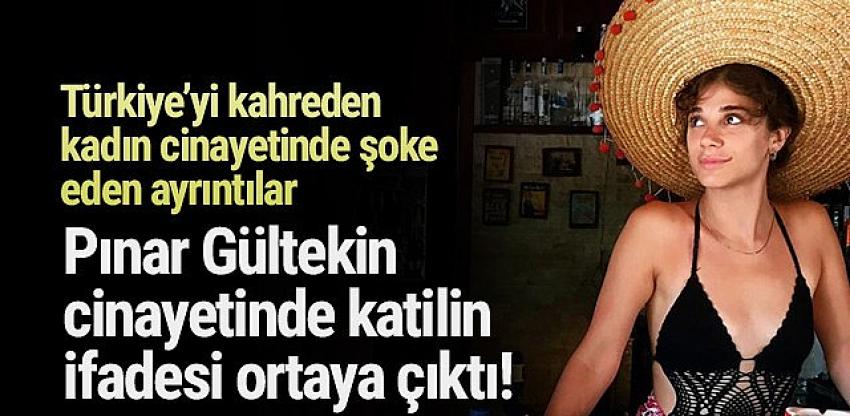 Pınar Gültekin cinayetinde katil zanlısının ifadesi ortaya çıktı