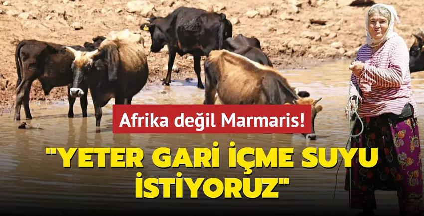 Afrika değil Marmaris... 