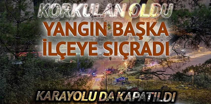 Kategori Haberleri